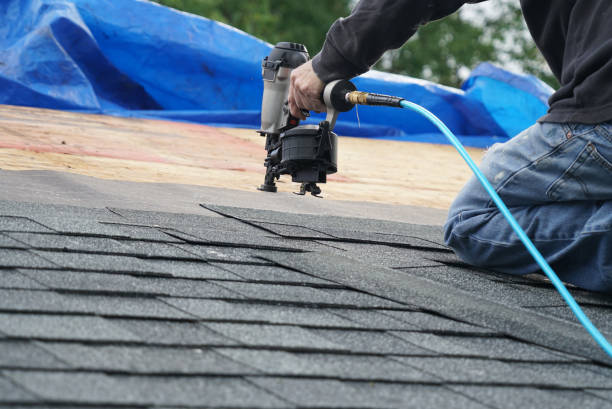 Best Roof Ventilation Installation  in Port Royal, SC