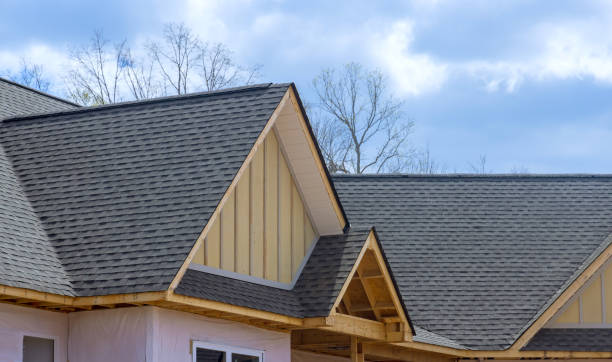 Best Rubber Roofing (EPDM, TPO)  in Port Royal, SC