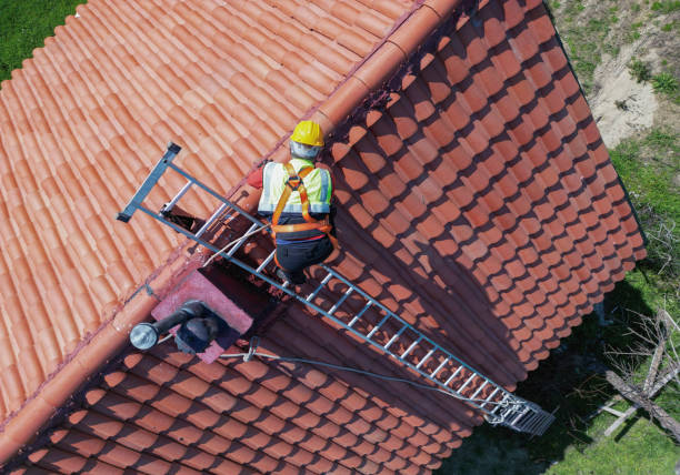 Best Metal Roofing Installation  in Port Royal, SC