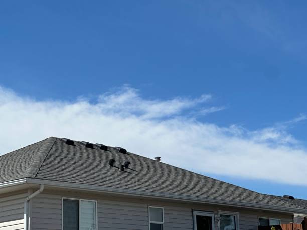 Best Roofing for New Construction  in Port Royal, SC